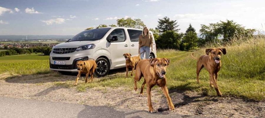 Auch Vierbeiner lieben den Opel Zafira-e Life